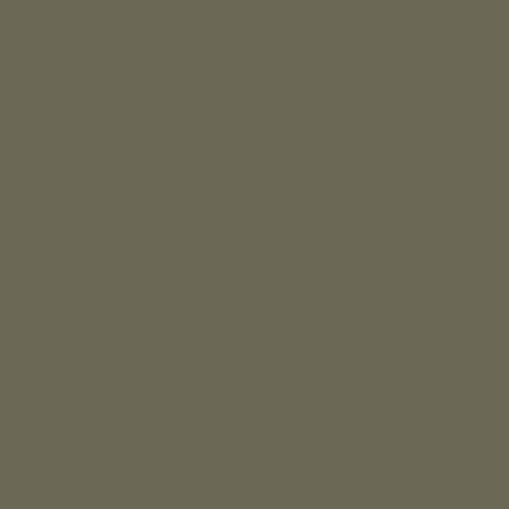 картинка Фон бумажный Falcon Eyes BackDrop 2.72x10 хаки (10) от магазина Ultra-mart